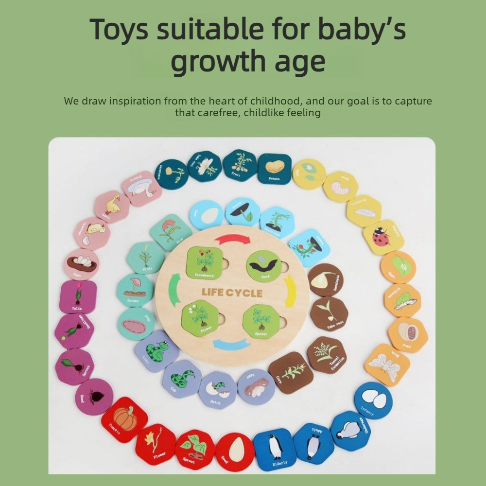 1 puzzle in legno sul ciclo di - Kids Toys Cycle recensione e prezzo