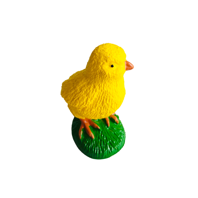 Ciclo di vita Animali Carte e  - Kids Toys Cycle recensione e prezzo