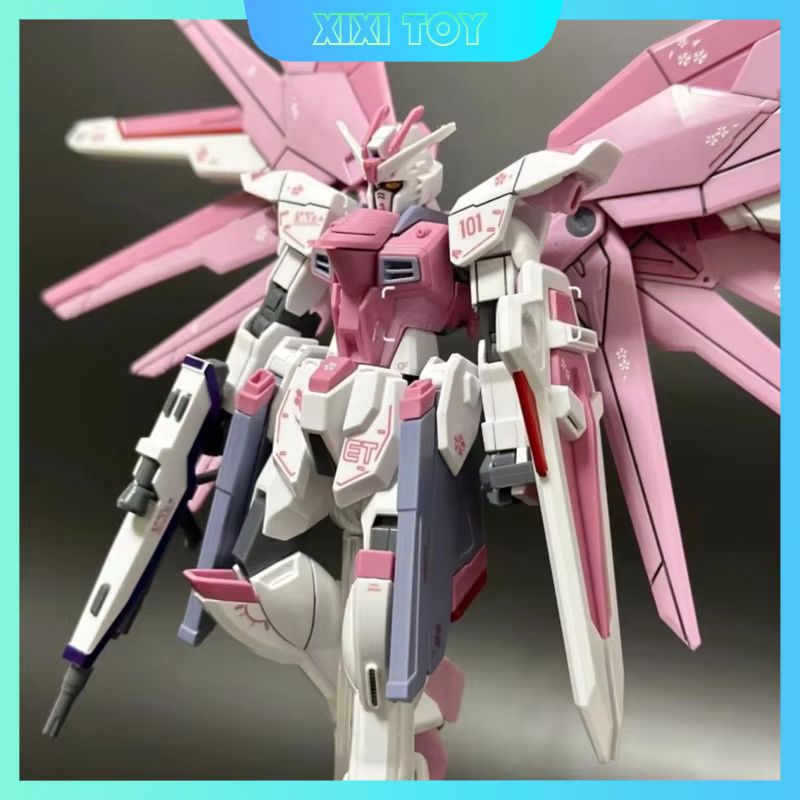 JMS HG 1/144 ZY-06 Freedom Ass - Bandai Model Gundam Hg recensione e prezzo